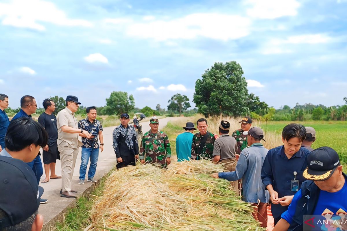 Bulog jamin stok beras  di OKU Raya aman jelang Idul Adha