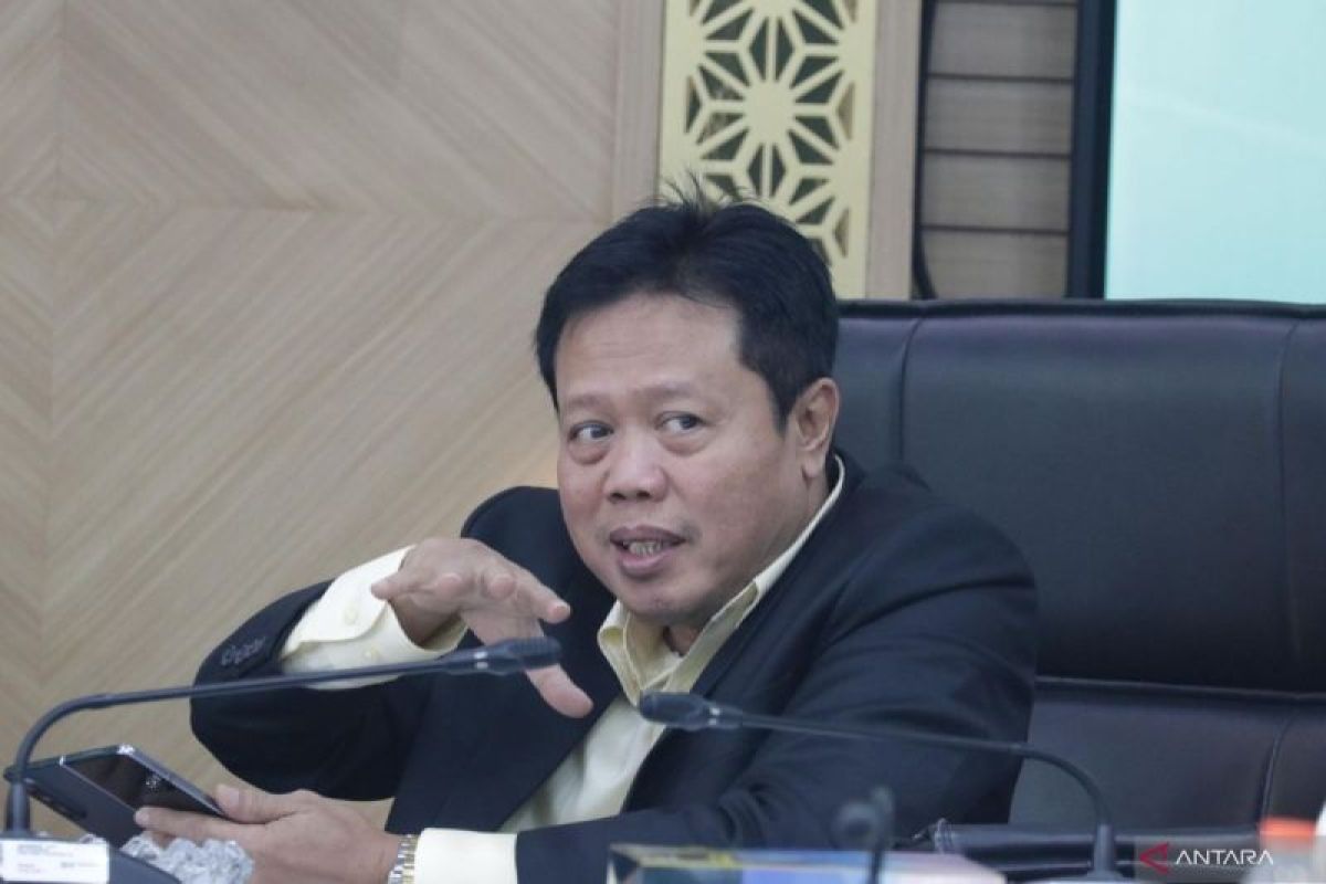 Anggota DPR dukung Presiden Prabowo Subianto tarik aset negara dari swasta