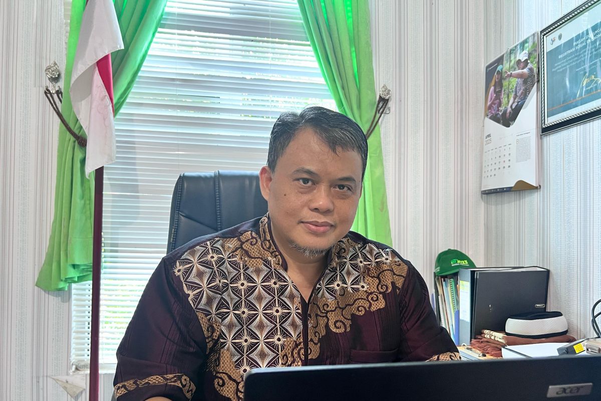 Pertumbuhan ekonomi Kabupaten Batanghari pada 2024 melambat