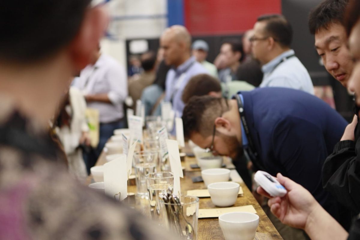 Produk kopi specialty Indonesia catat transaksi Rp498 miliar di AS