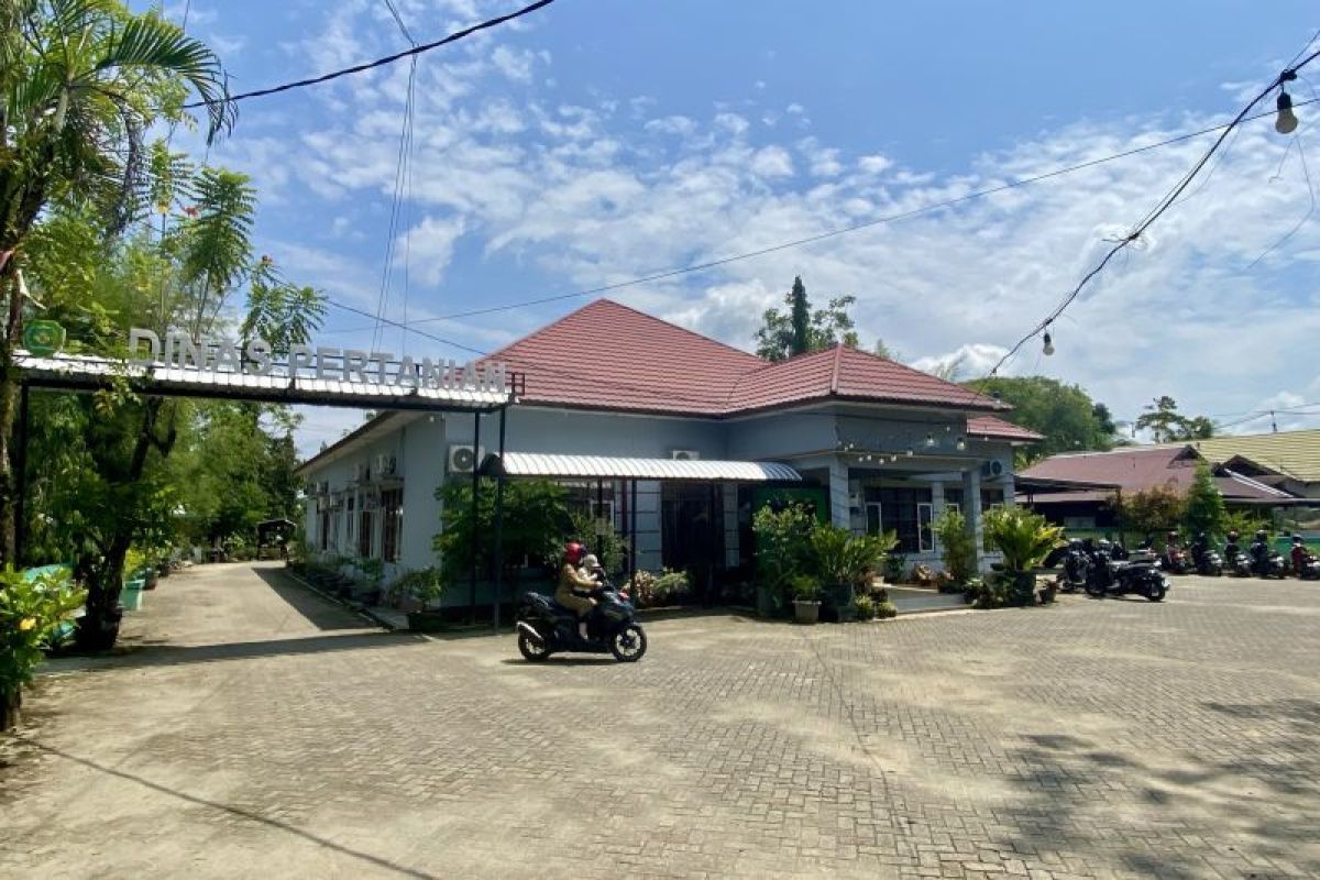 Tapin andalkan penyuluh swadaya dampingi petani di tengah keterbatasan