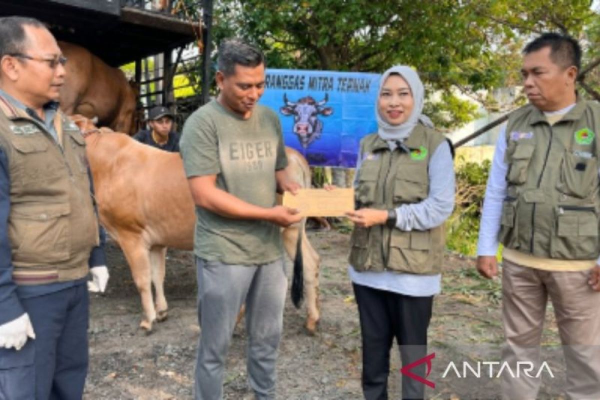 DKPP Pamekasan periksa kesehatan sapi kurban