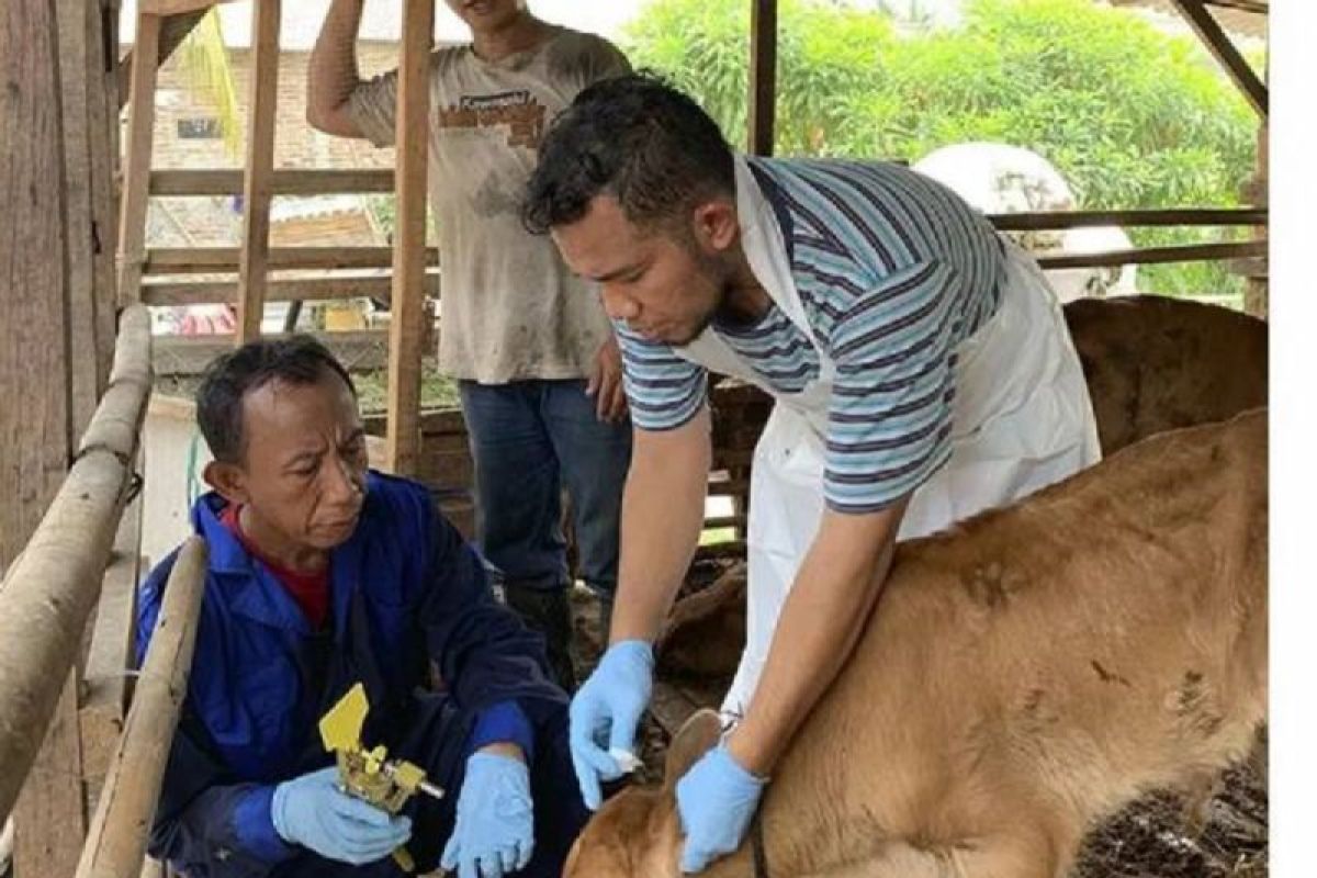 DKP Kota Tangerang tingkatkan pengawasan masuknya ternak dari luar daerah