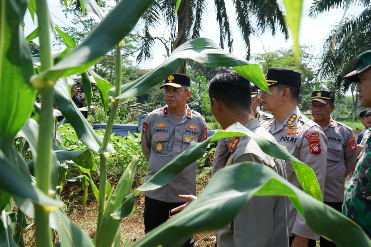 Sinergi Polri-TNI AU perkuat ketahanan pangan nasional di Bengkayang