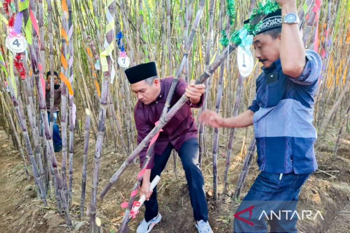 PG Assembagoes optimistis capai target giling 500.000 ton tahun 2025