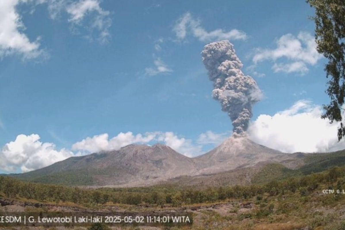 Gunung Lewotobi Laki-laki erupsi lagi pada Jumat