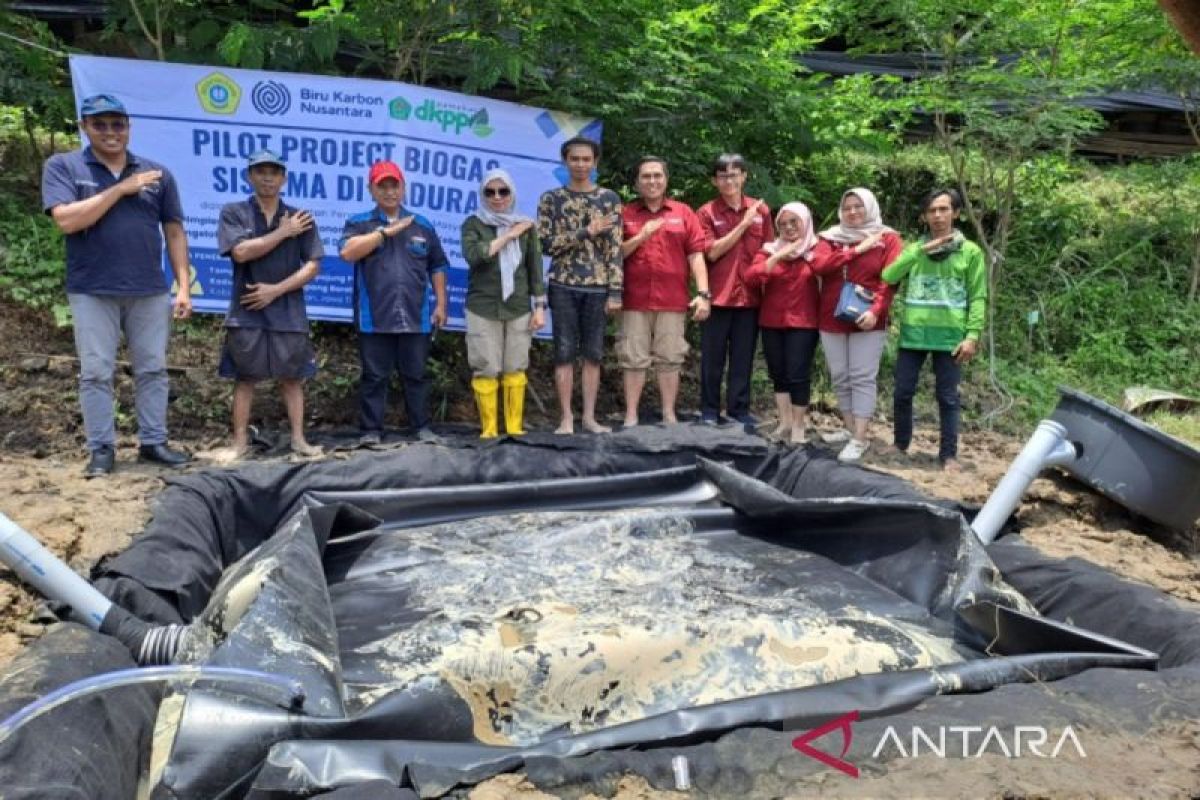 Pemkab Pamekasan kembangkan biogas dari limbah kotoran sapi