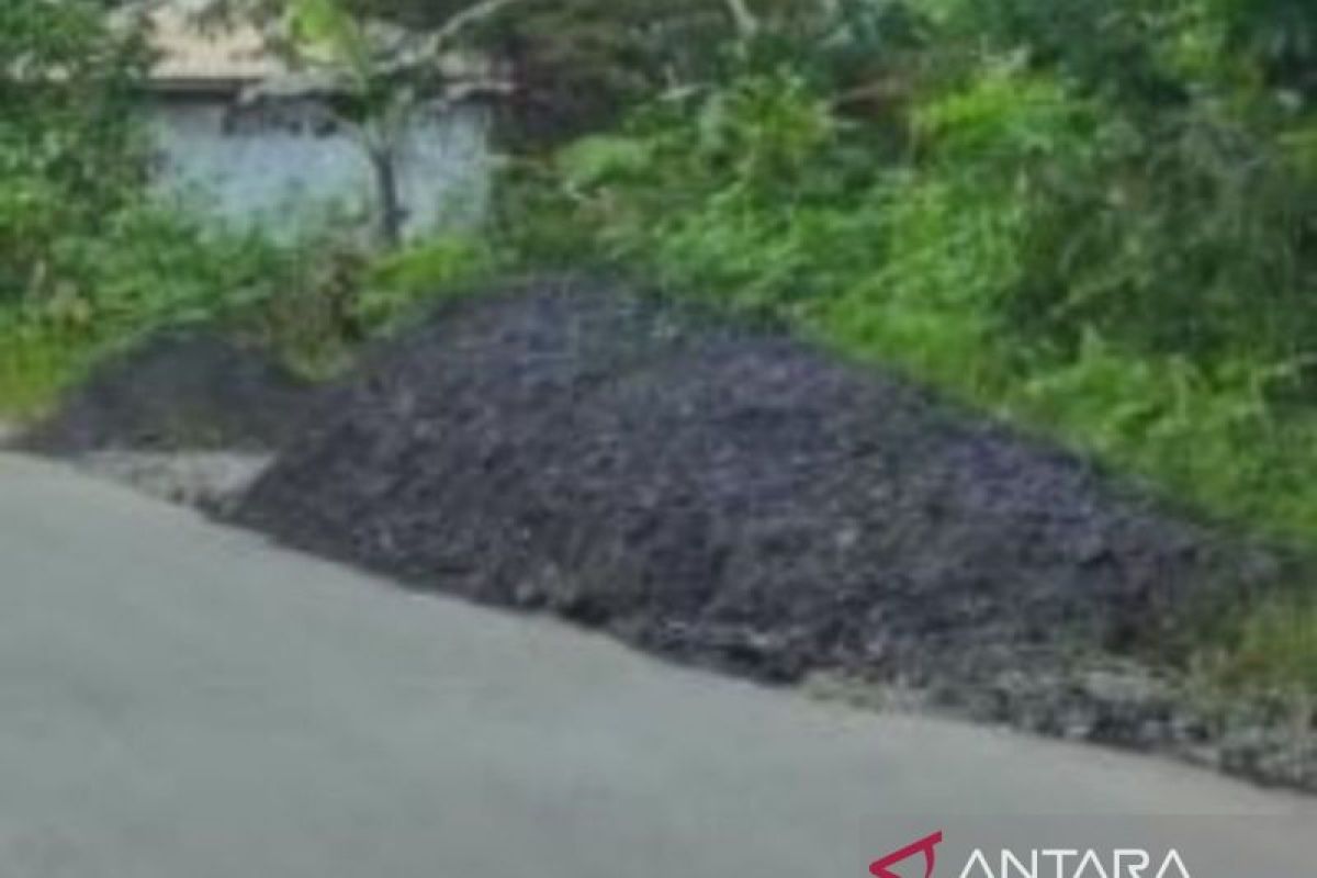 Dinas ESDM Kaltim bakal cek tumpukan batu bara diduga ilegal di tepi jalan nasional