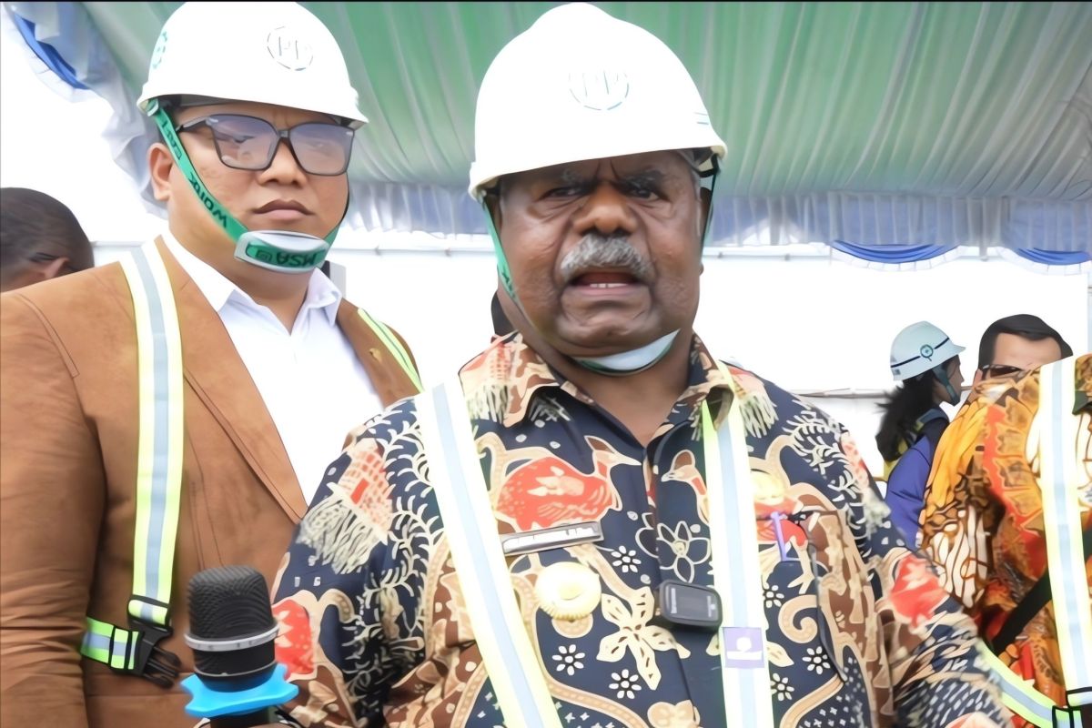 Elisa Kambu minta DPR tinjau kepemilikan tiga pulau Raja Ampat