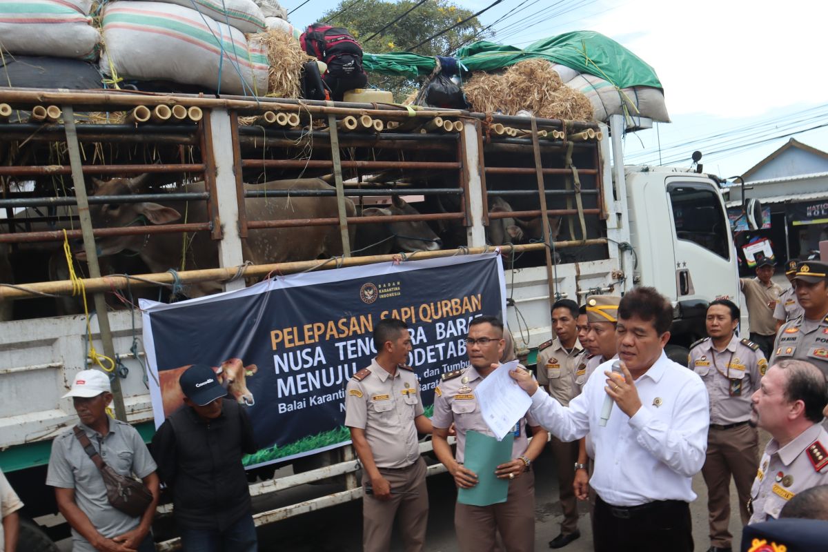 Kepala Barantin tinjau pengiriman hewan kurban di Pelabuhan Lembar NTB