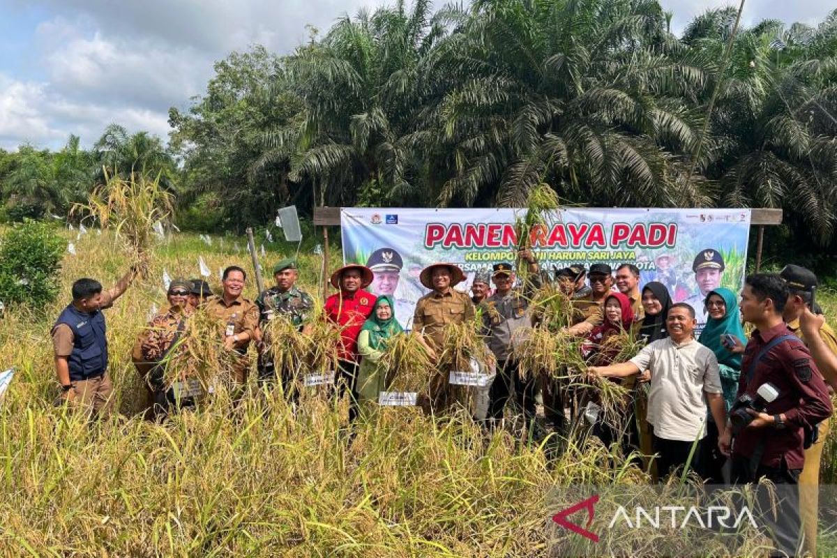 Kelompok tani di Rumbai gelar panen raya padi perdana di Pekanbaru