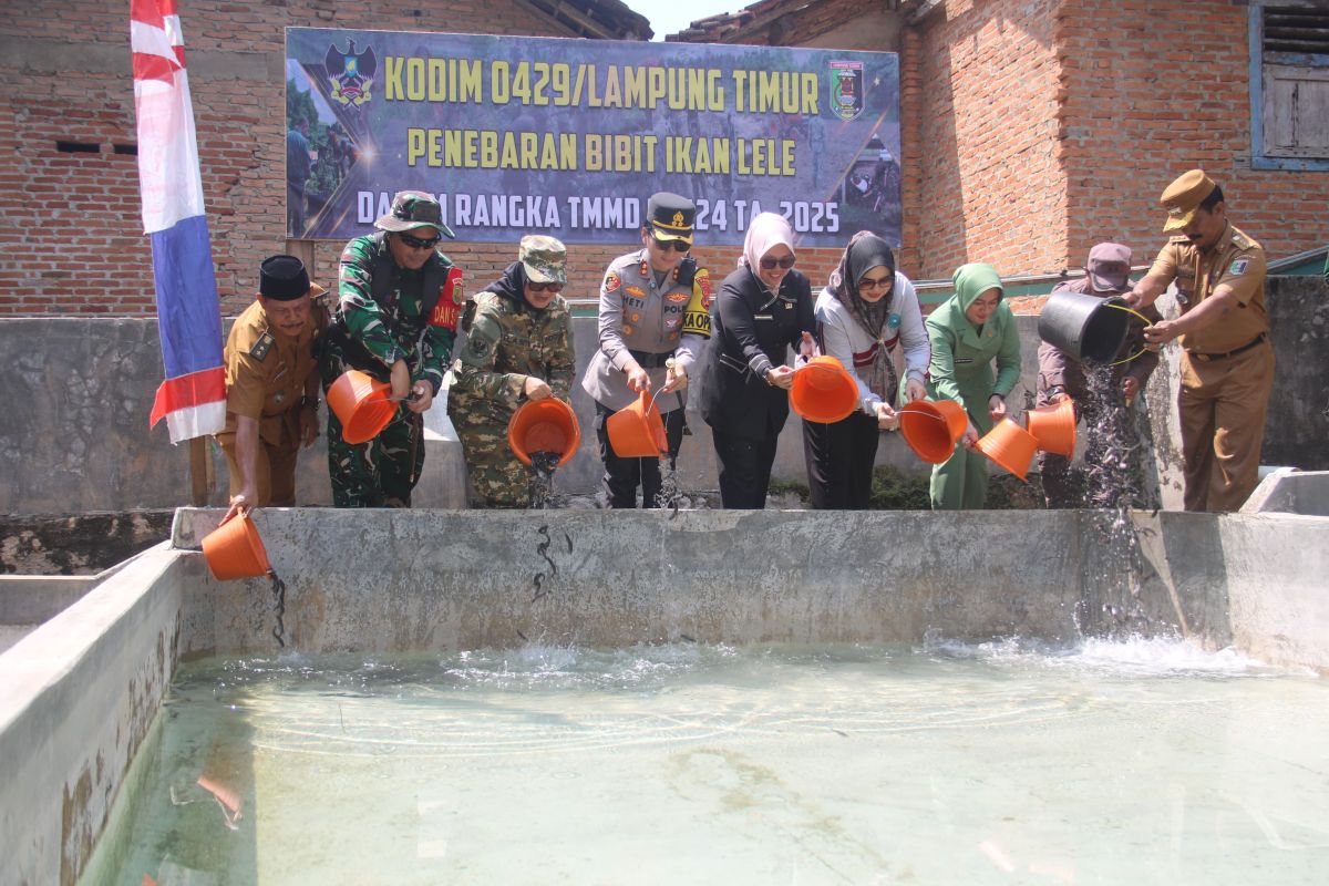 TNI dan Pemkab Lampung Timur hadirkan solusi air bersih lewat TMMD ke-124