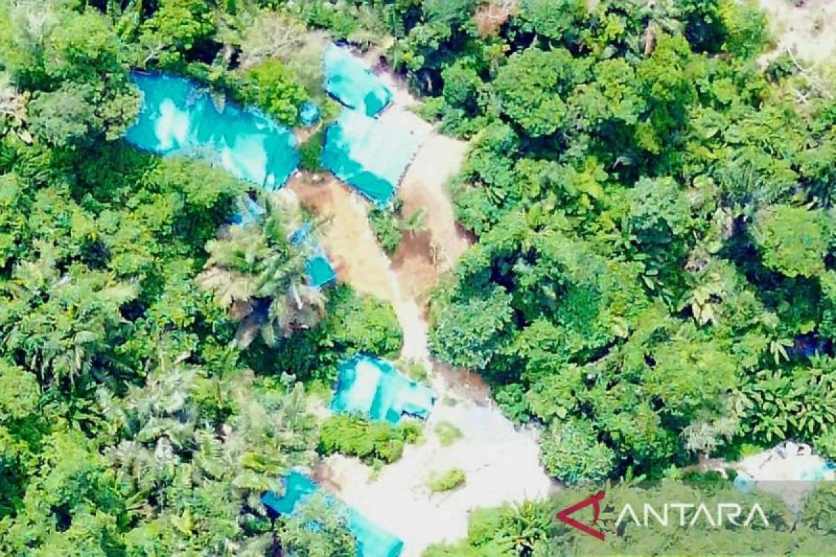 Nihil Tindakan, Tambang Emas ilegal menjamur Di wilayah hukum Tapsel