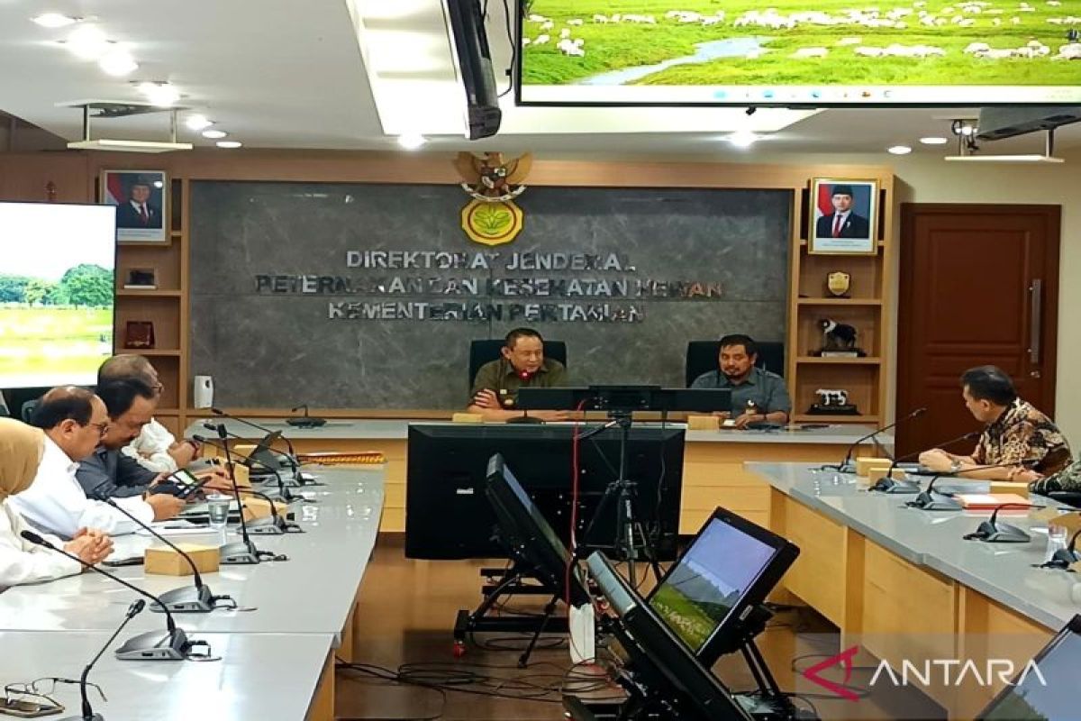 Gorontalo perlu hilirisasi produk jagung