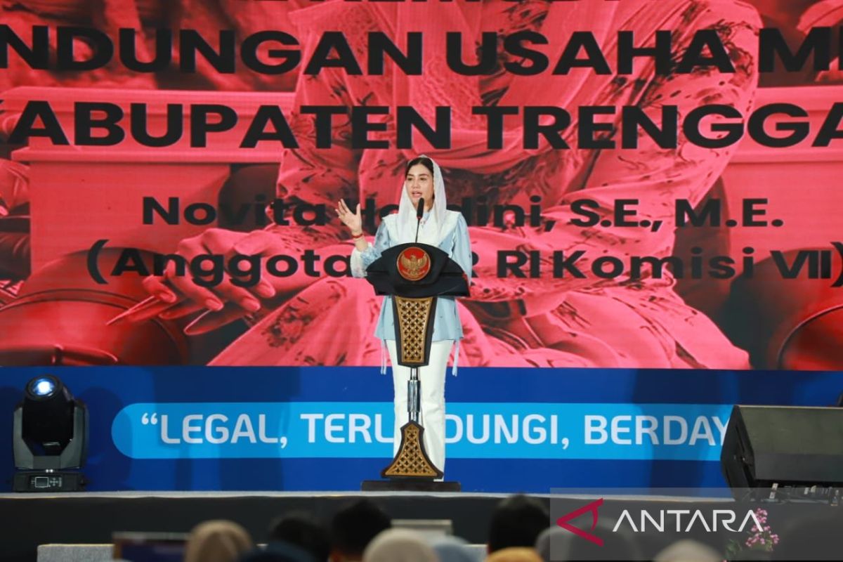 Anggota DPR: Kesejahteraan UMKM jadi fondasi ekonomi daerah dan nasional