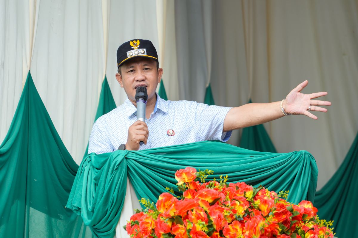 Morowali tingkatkan layanan dasar di wilayah kepulauan