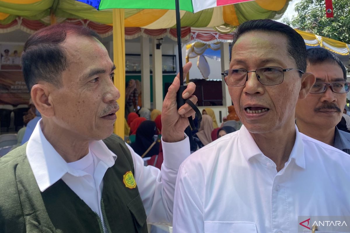 Pemkot Batam: Sapi dari Presiden akan dikurbankan di Masjid Sultan Mahmud Riayat Syah