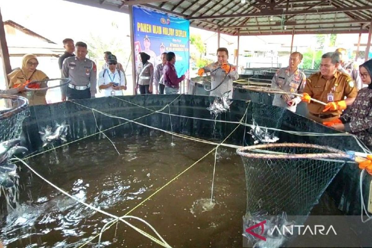 Polres Kotim panen perdana 200 kilogram patin dukung MBG