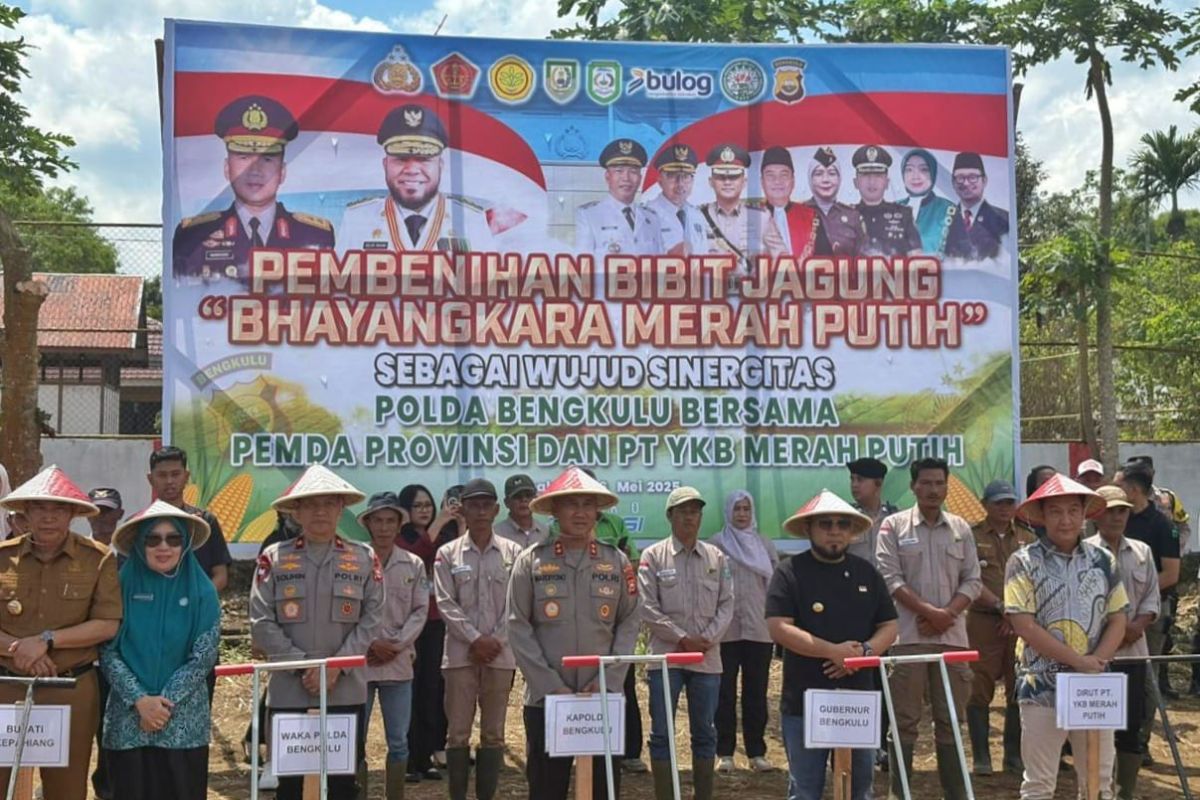 Pemprov Bengkulu targetkan tiap desa tanam satu hektare jagung