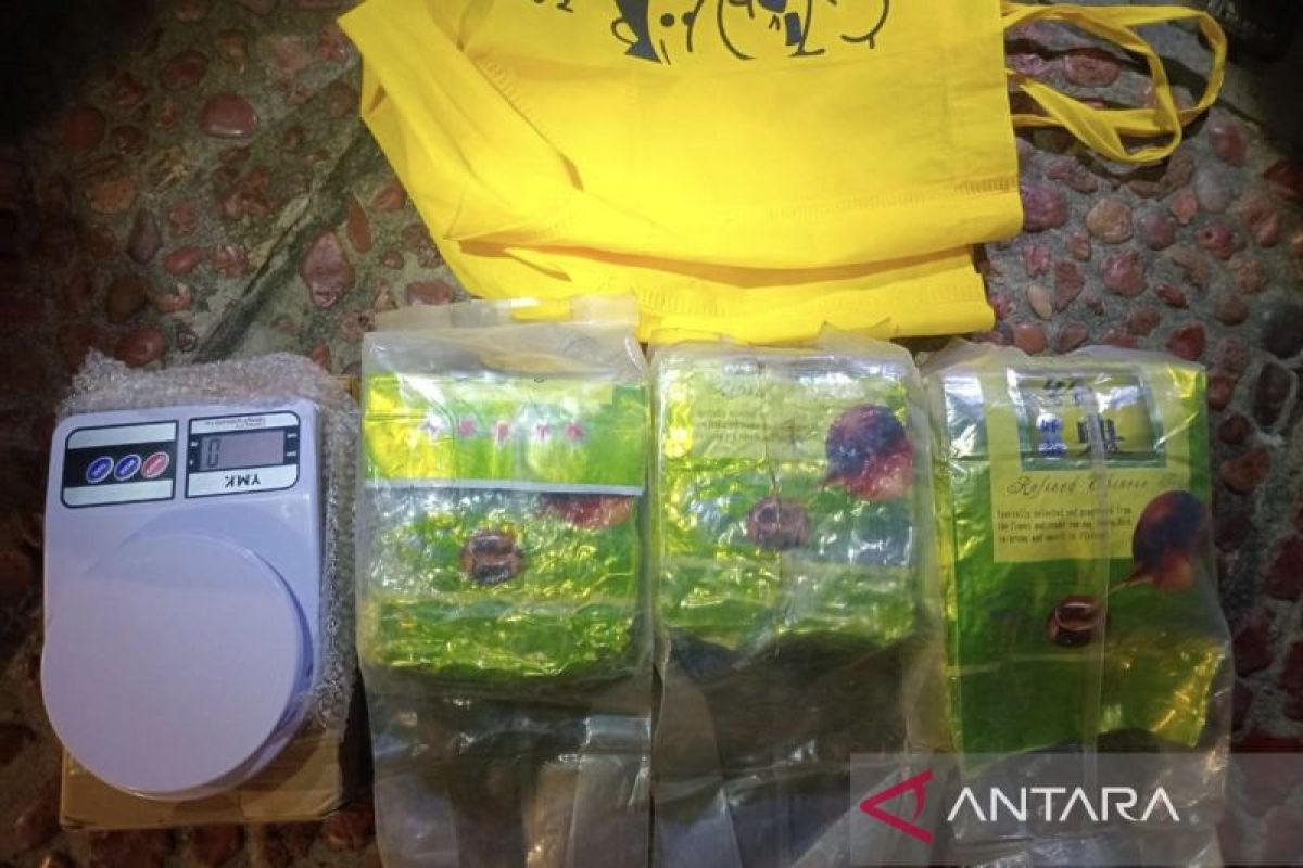 Polisi gagalkan penyelundupan sabu seberat 3 kilogram di Jakarta Barat