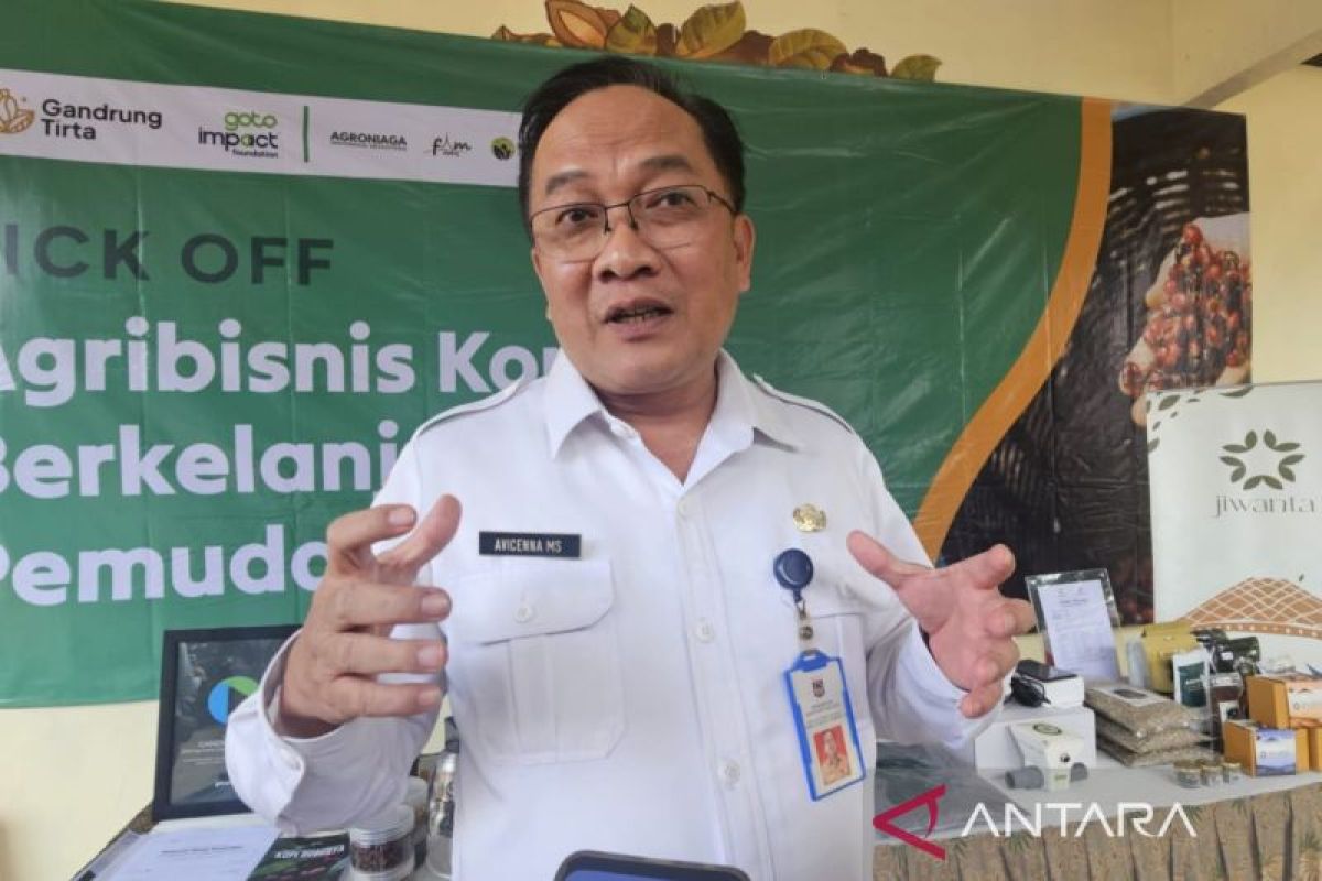 Pemkab Malang genjot produksi kopi untuk lokal kejar potensi ekspor