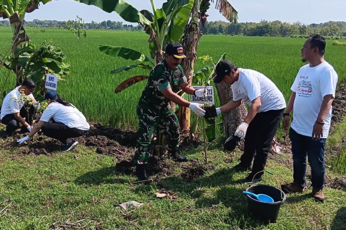 PWI Bojonegoro lestarikan alam melalui tanam pohon