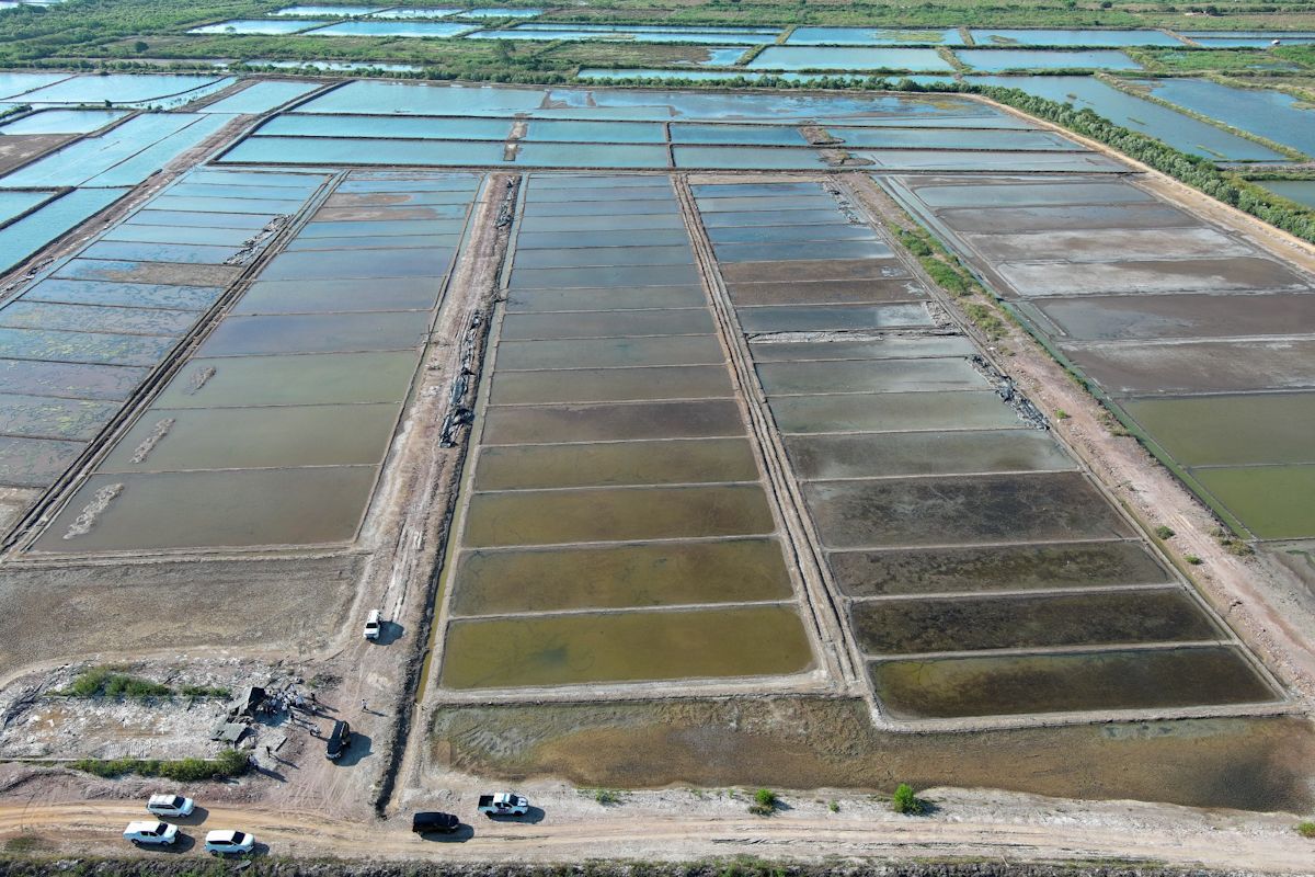 RI Govt highlights NTB potential for salt production