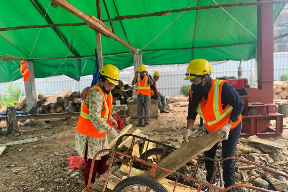 Cofiring biomassa PLTU PLN bantu sejahterakan masyarakat Kalbar