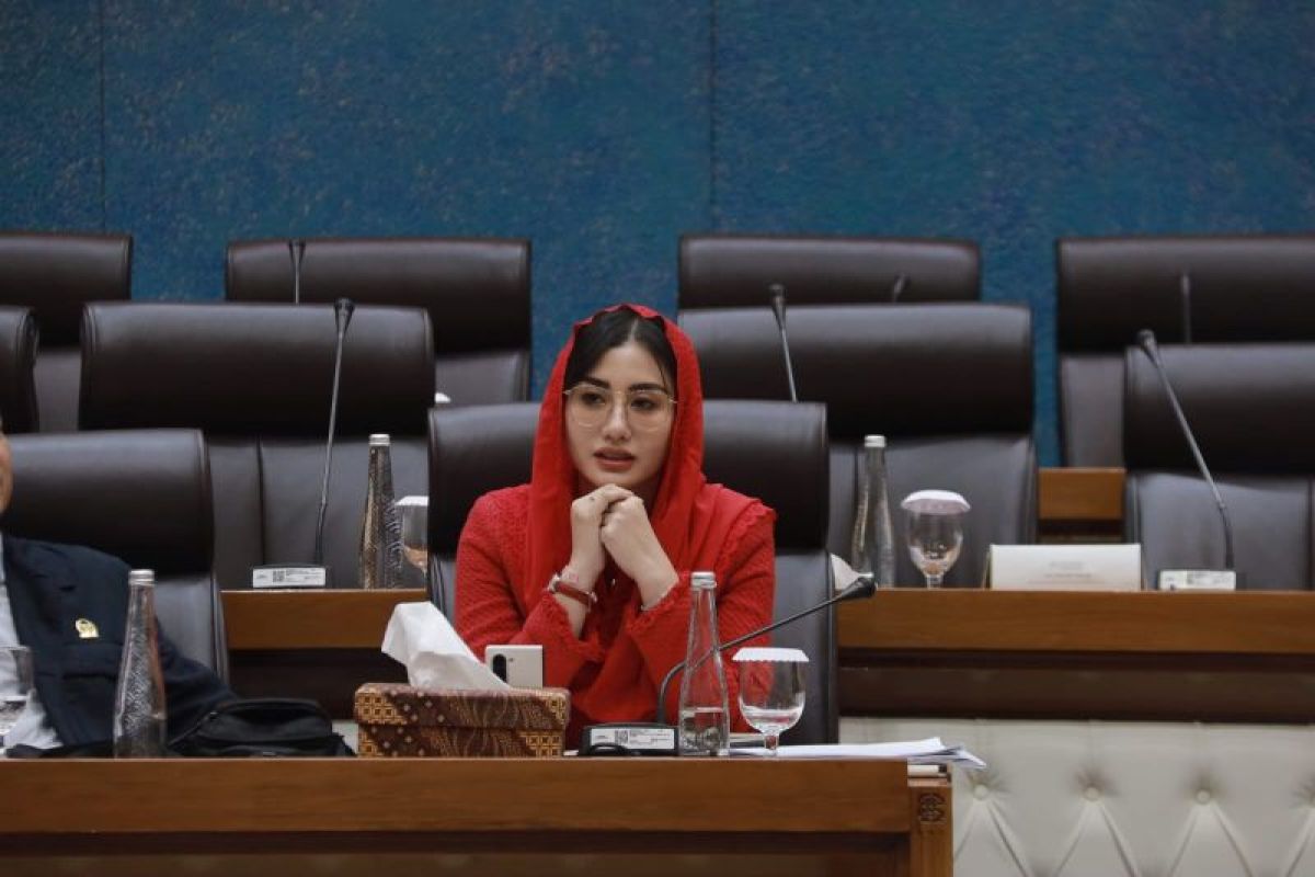 Anggota DPR minta pemerintah siapkan desain besar industri kreatif