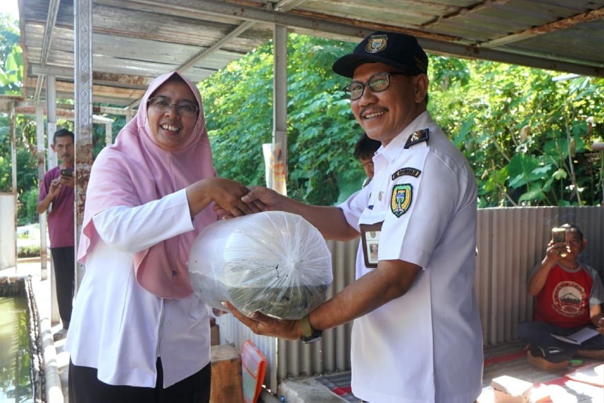 DKPP Kota Madiun lakukan penebaran benih ikan guna jaga ekosistem sungai
