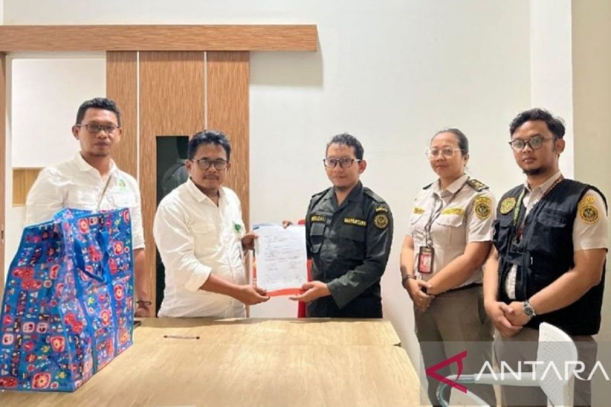 Karantina Papua gagalkan penyelundupan tiga ekor kanguru tanah