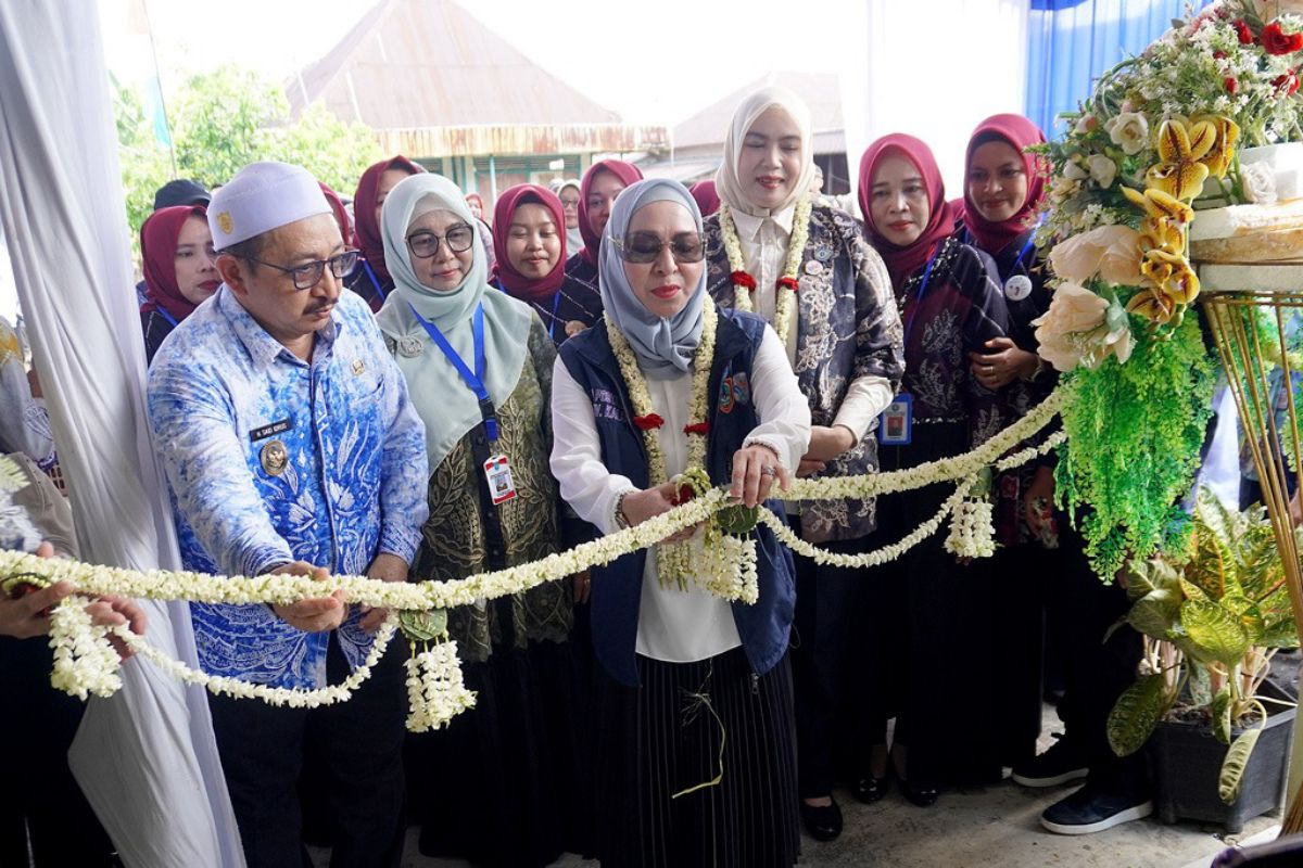 Pemkab Banjar luncurkan 
