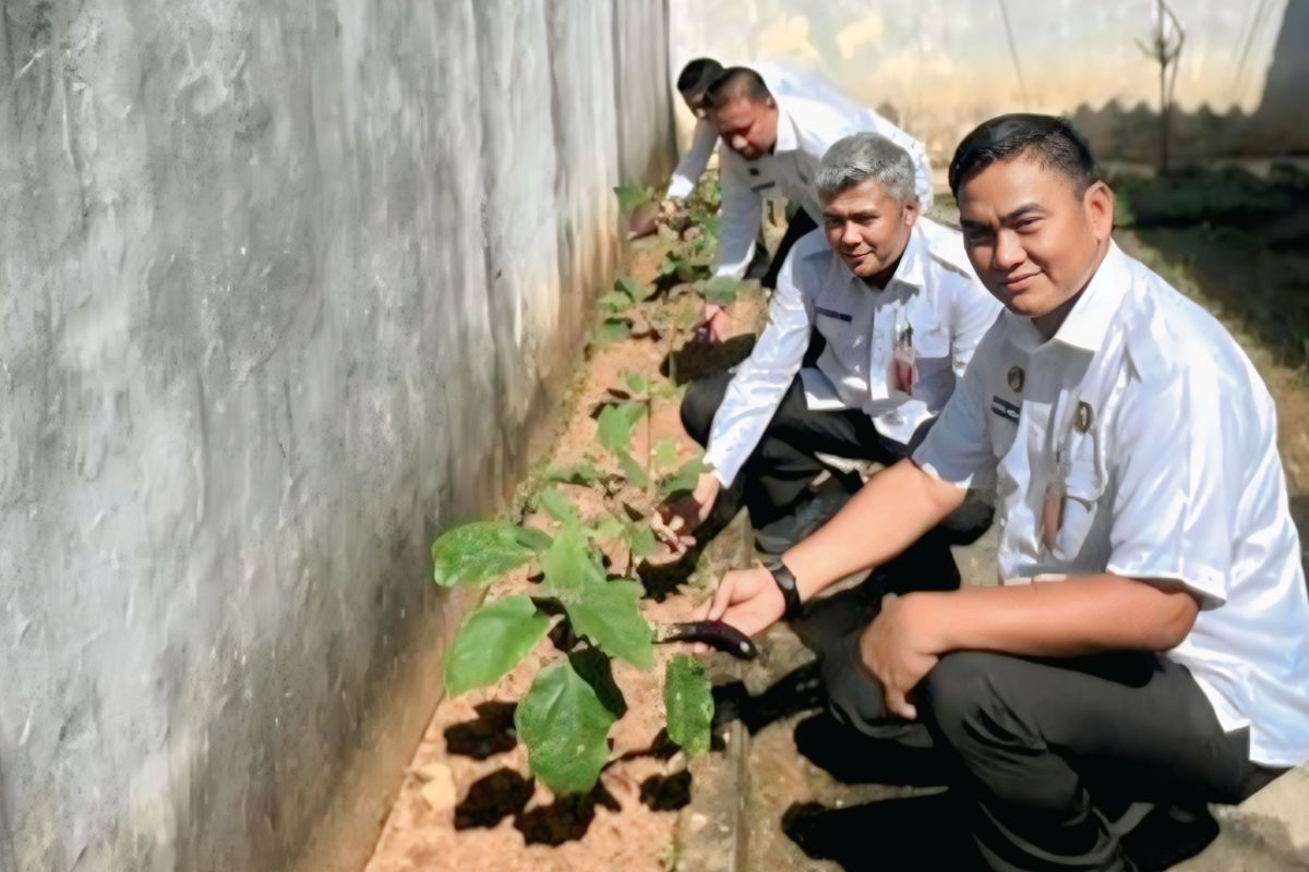 Rutan Baturaja latih warga binaan dengan keterampilan bercocok tanam