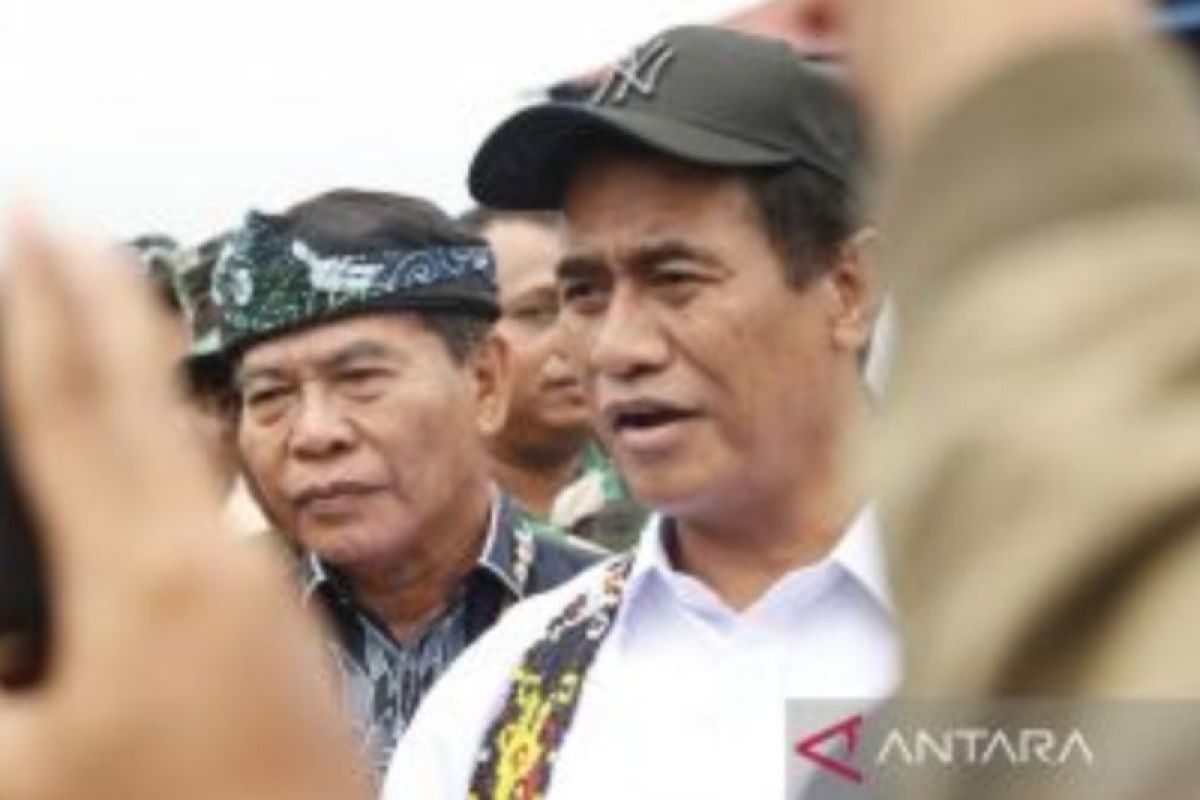 Mentan Targetkan Kaltara Panen Padi Tiga Kali Setahun