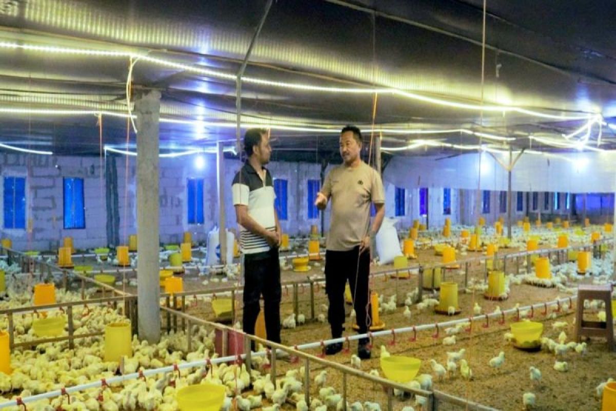 Polisi Pemalang beternak ayam untuk kegiatan sosial