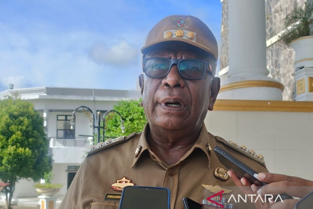 Pemkab Mimika: MPP digital permudah akses pelayanan secara daring