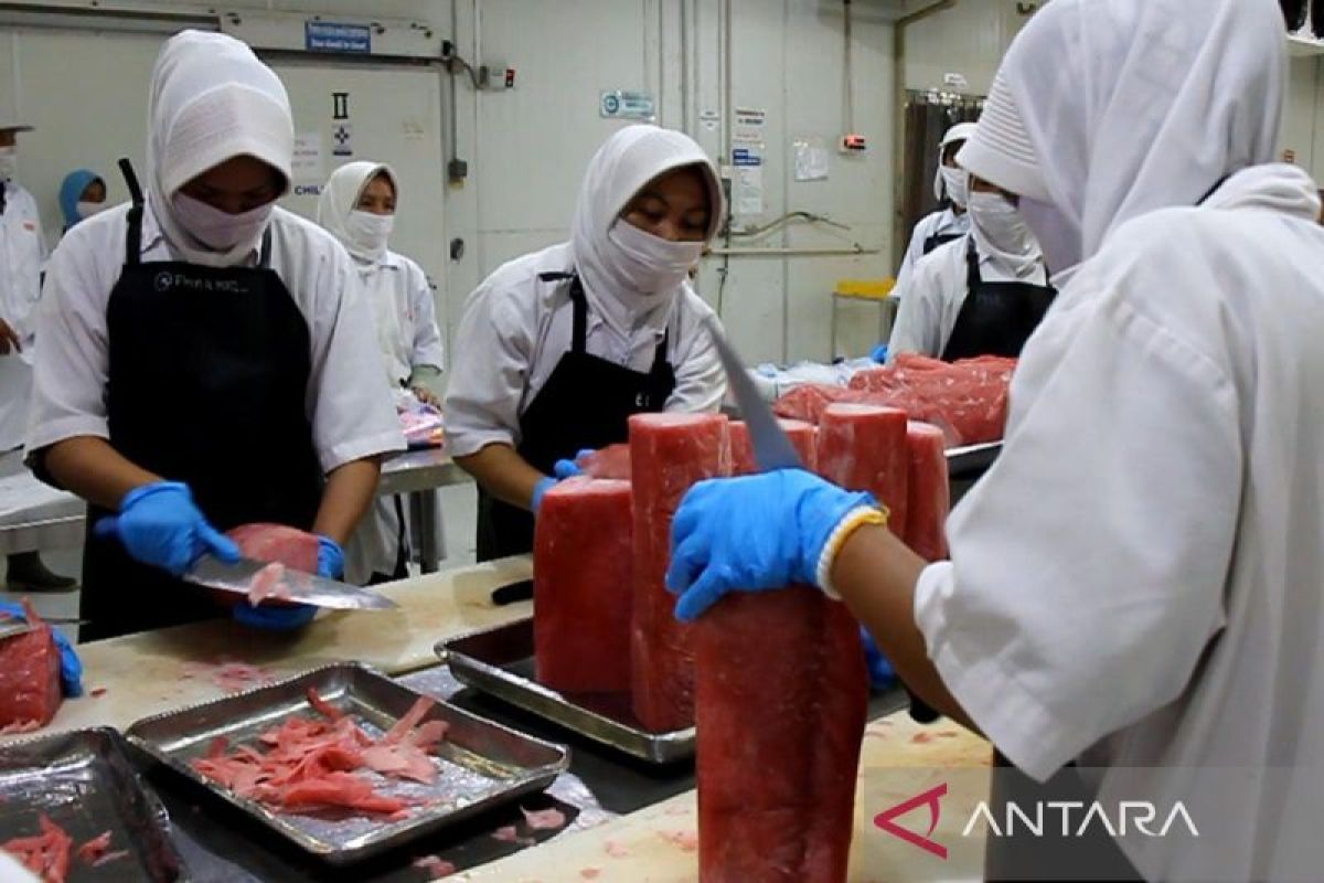 Mendag lepas ekspor tuna asal Sumbar ke UEA senilai Rp1,87 miliar