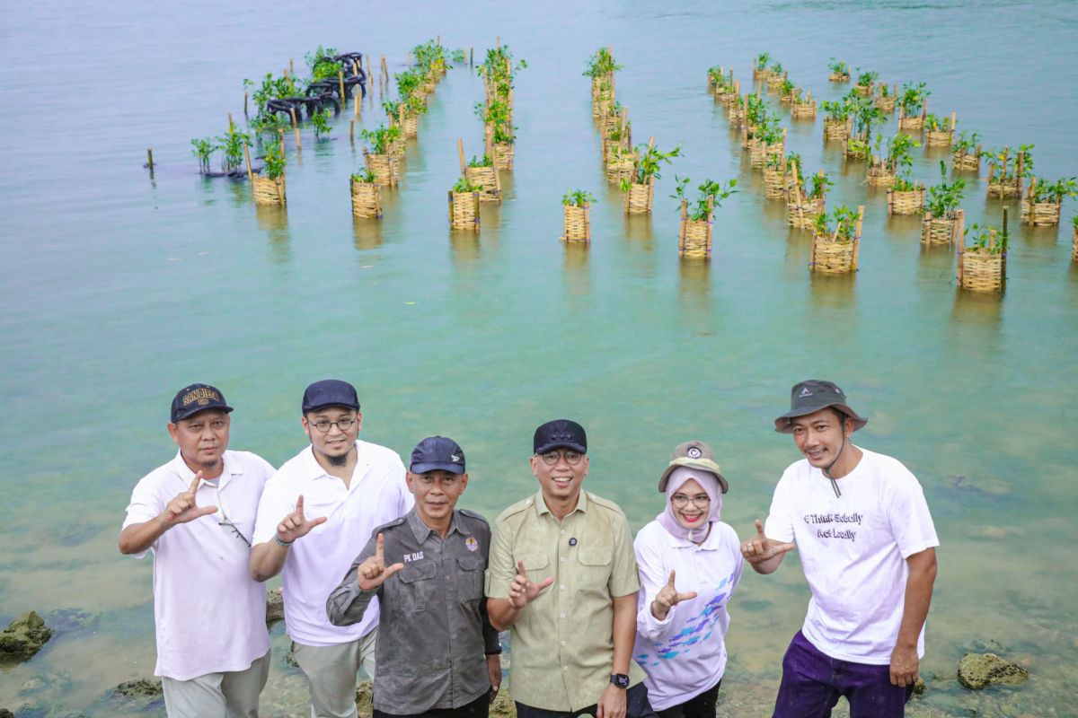 Gubernur Lampung sebut penanaman mangrove perkuat ketahanan wilayah pesisir