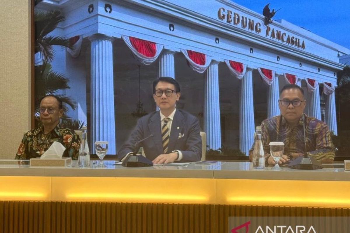 Pakar: Hukum internasional perlu pandangan dari negara berkembang