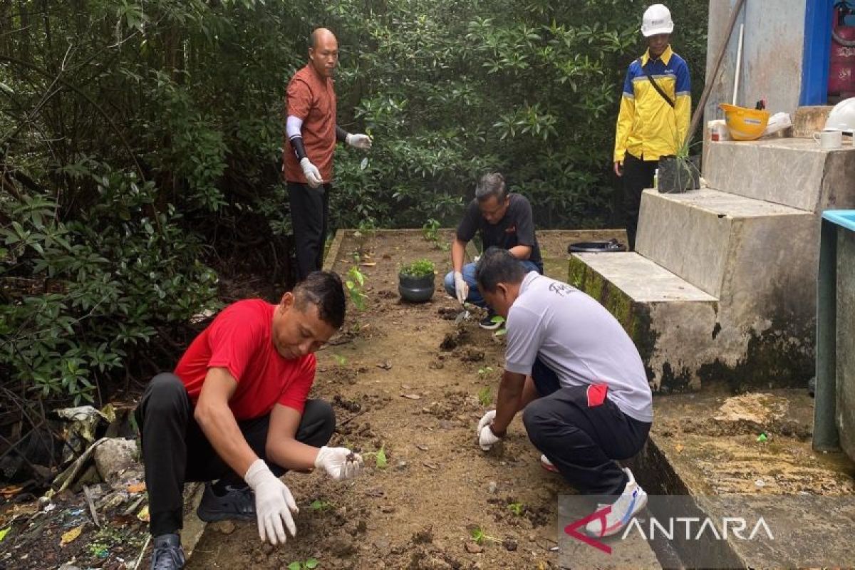 Pelindo Batulicin manfaatkan lahan kosong guna dukung ketahanan pangan