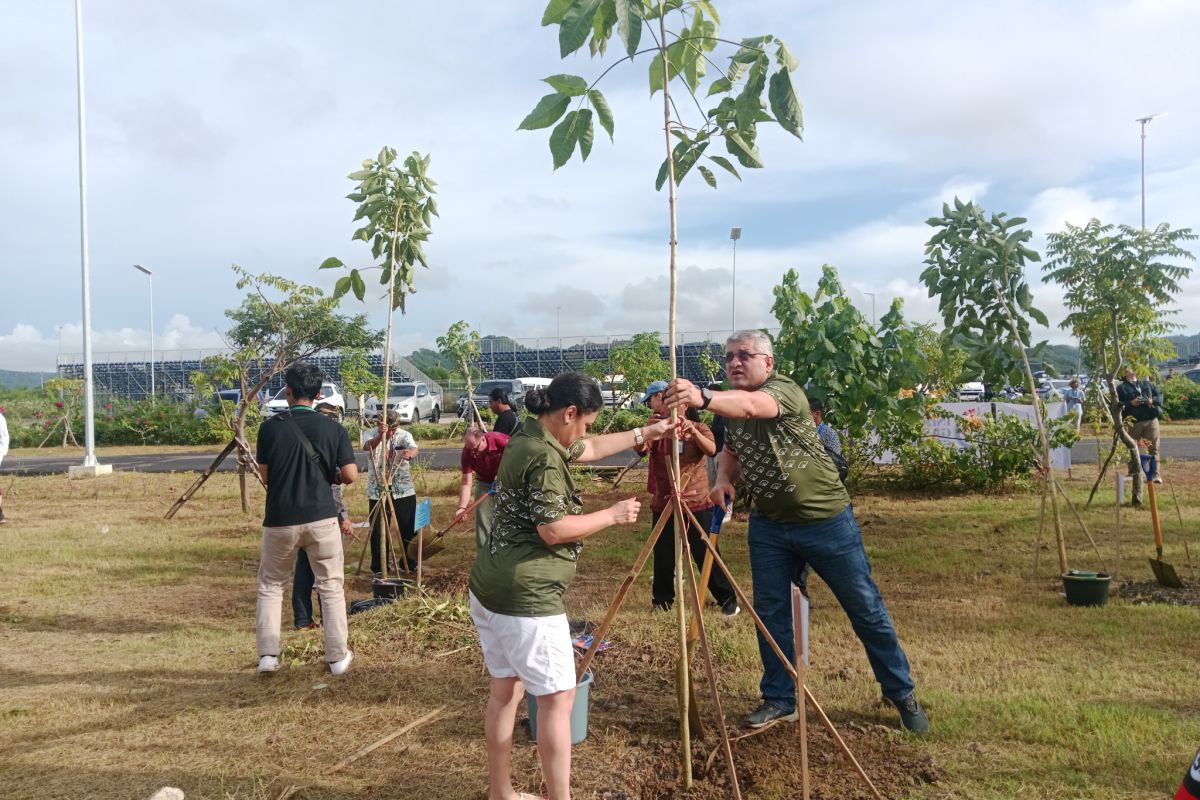 Delegasi IGS tanam pohon di kawasan Sirkuit Mandalika
