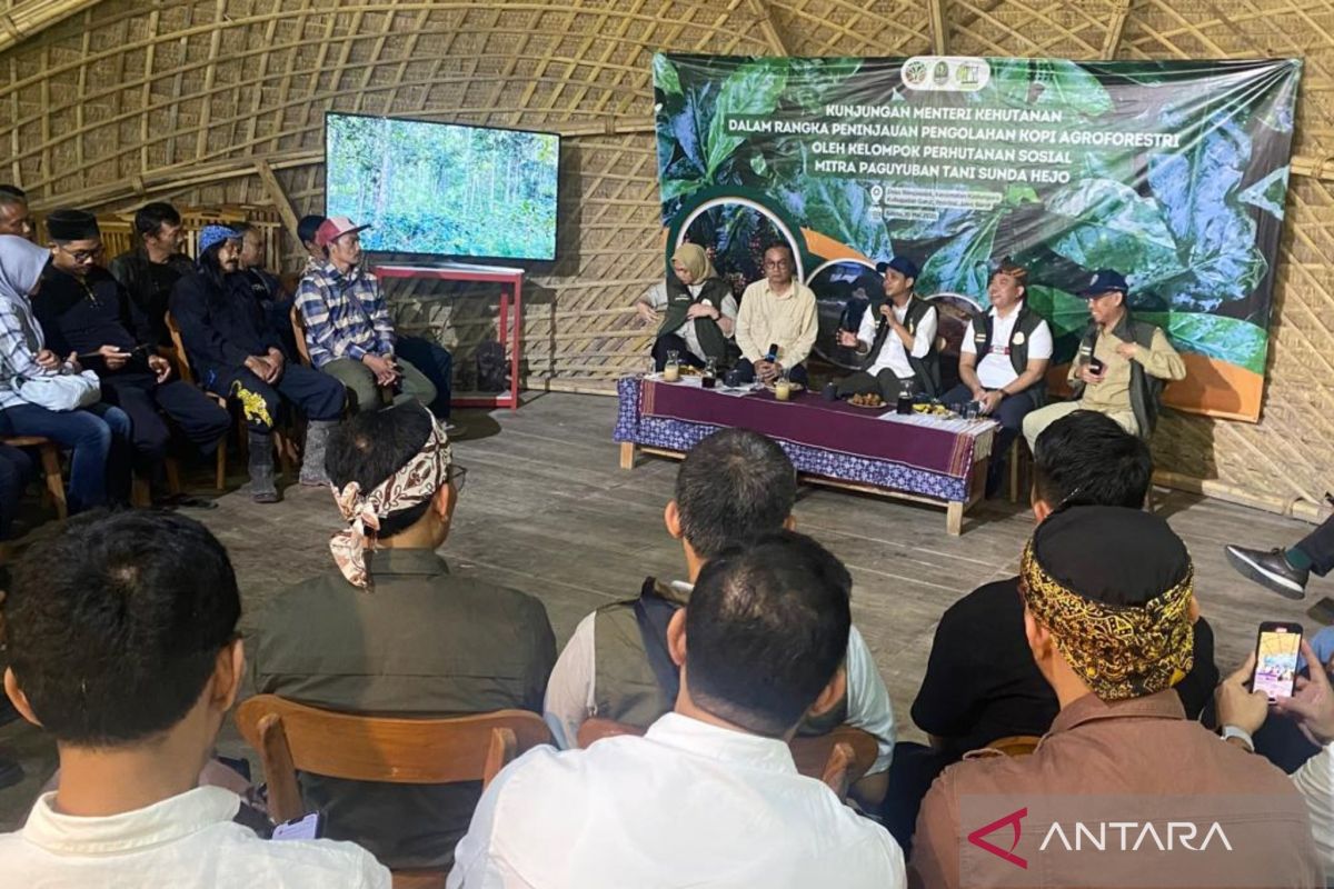 Menhut dorong pengembangan kopi melalui sekolah lapangan di Garut
