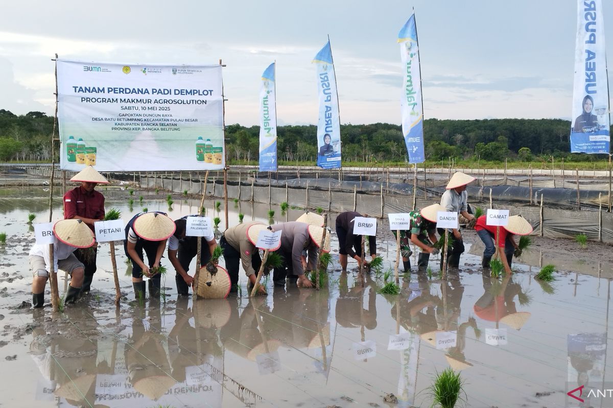 Babel kemarin, Pemancing tenggelam ditemukan hingga program makmur agrosolution