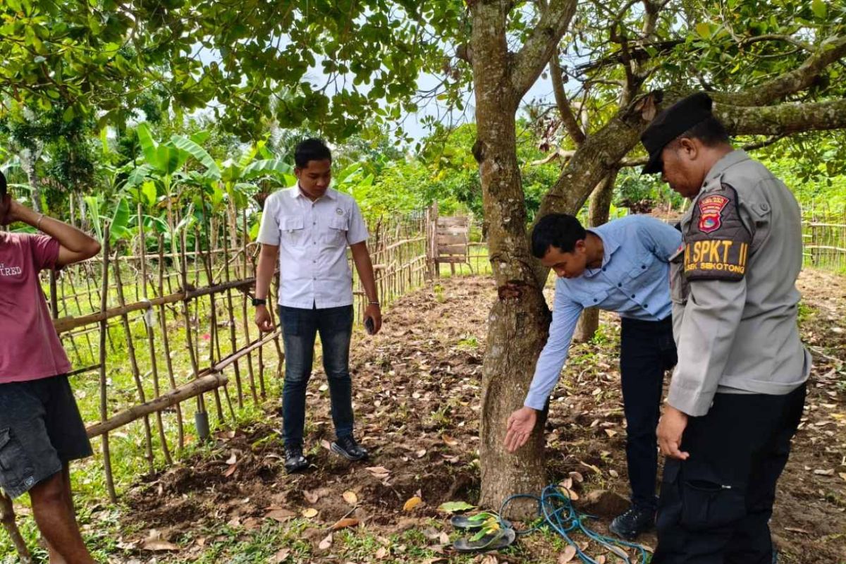 Warga Lombok Barat tewas gantung diri di pohon jambu mete