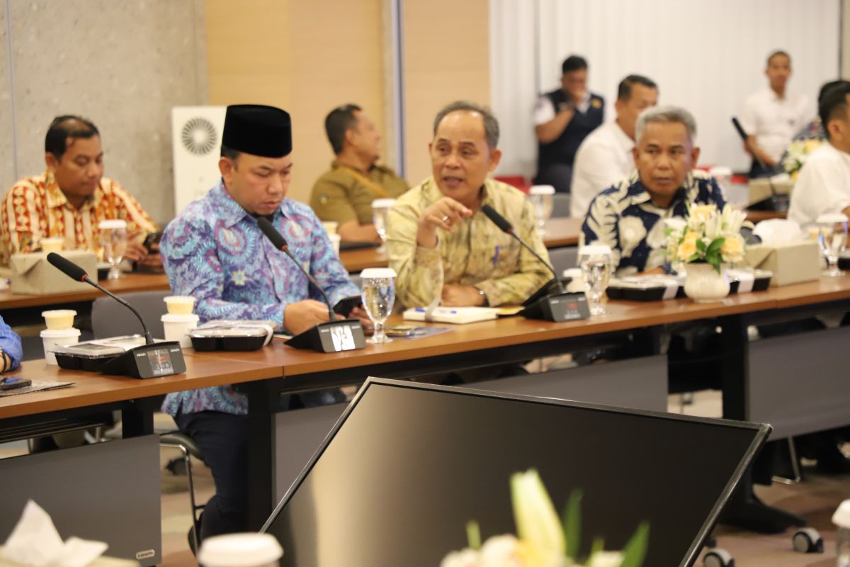 Bupati Herman usulkan pembukaan jalur Roro Tembilahan Batam, ini harapannya