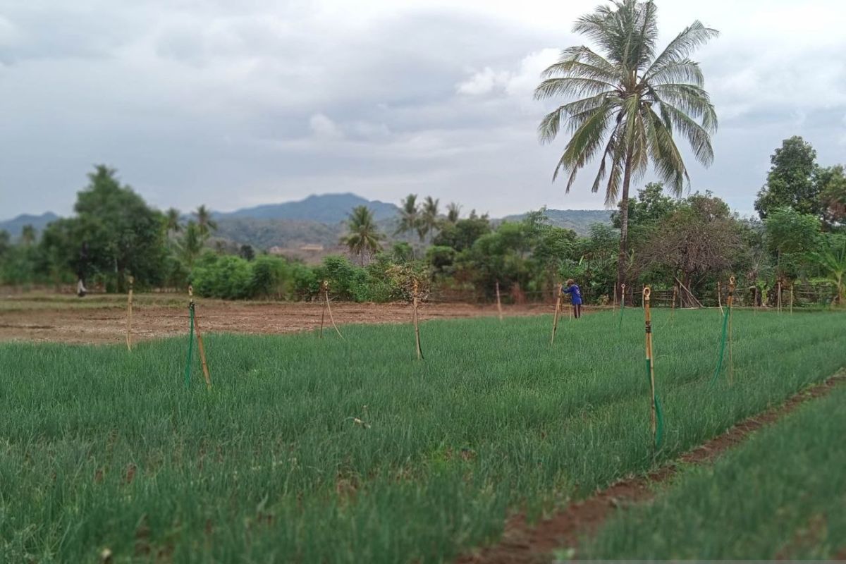 Aset tanah dominasi BMN di Sulsel