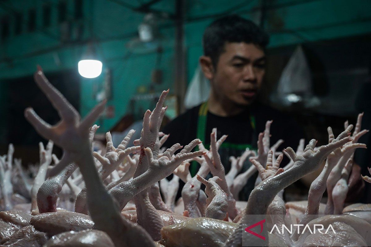 Bapanas: Harga bawang merah Rp39.159/kg, daging ayam Rp34.387/kg