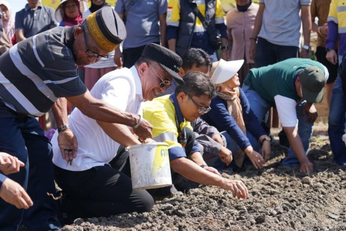 Wako Palu perintahkan Dinas Pertanian dampingi petani bawang