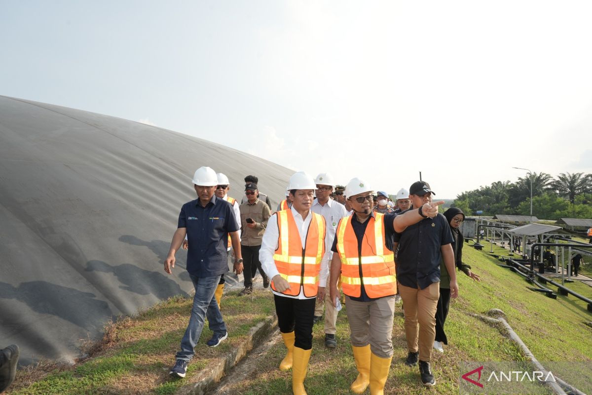 Menteri Lingkungan Hidup minta PalmCo manfaatkan perdagangan karbon