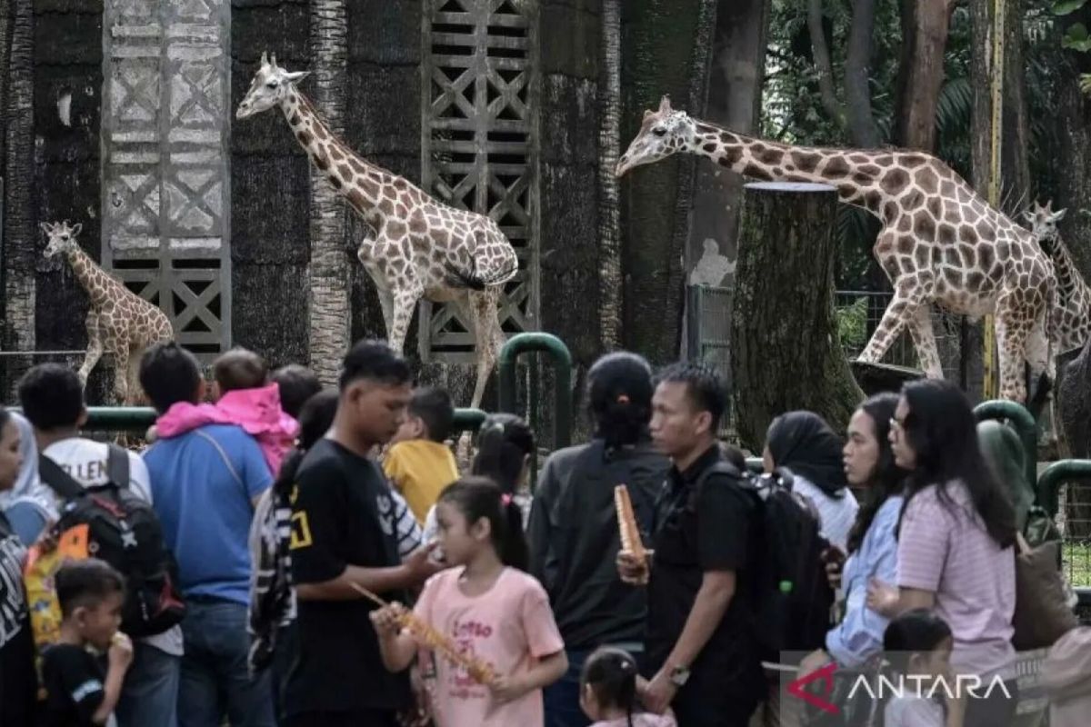 Libur Waisak, puluhan ribu orang kunjungi Margasatwa Ragunan